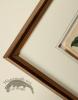 Andrews Botanicals in Gold Frame 02